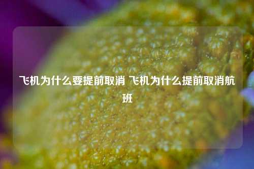 飞机为什么要提前取消 飞机为什么提前取消航班