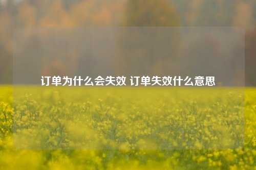 订单为什么会失效 订单失效什么意思