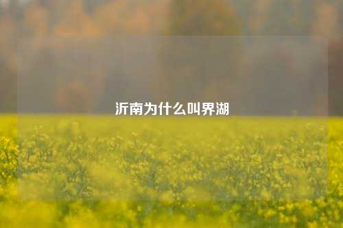 沂南为什么叫界湖