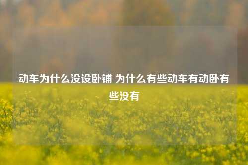 动车为什么没设卧铺 为什么有些动车有动卧有些没有