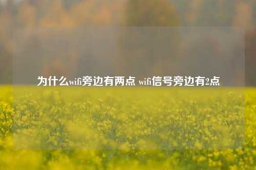 为什么wifi旁边有两点 wifi信号旁边有2点