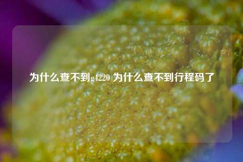 为什么查不到g4220 为什么查不到行程码了