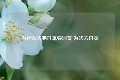 为什么去完日本要消签 为啥去日本