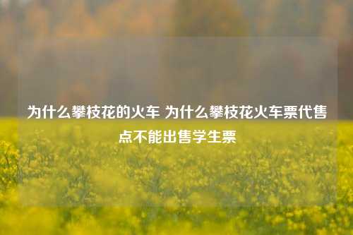 为什么攀枝花的火车 为什么攀枝花火车票代售点不能出售学生票