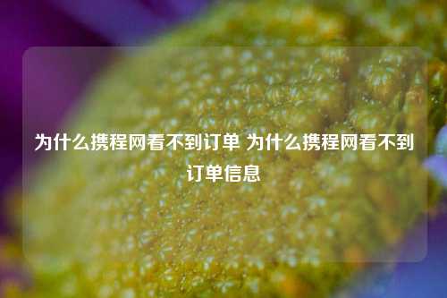 为什么携程网看不到订单 为什么携程网看不到订单信息