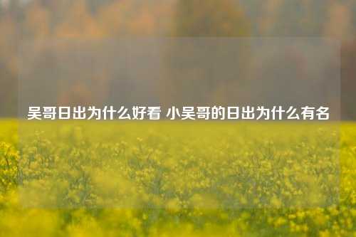 吴哥日出为什么好看 小吴哥的日出为什么有名