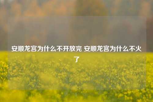 安顺龙宫为什么不开放完 安顺龙宫为什么不火了