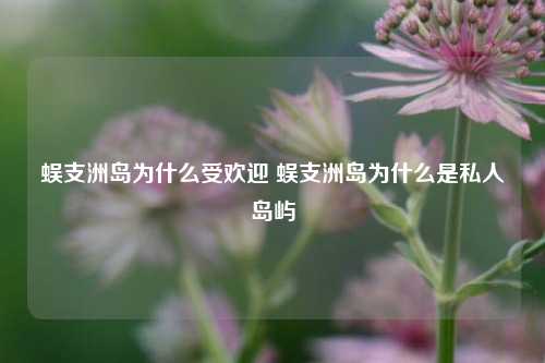 蜈支洲岛为什么受欢迎 蜈支洲岛为什么是私人岛屿