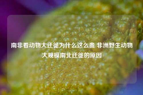 南非看动物大迁徙为什么这么贵 非洲野生动物大规模南北迁徙的原因