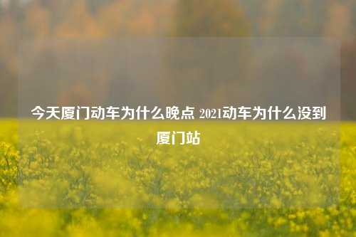 今天厦门动车为什么晚点 2021动车为什么没到厦门站