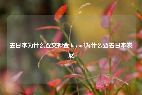 去日本为什么要交押金 beyond为什么要去日本发展