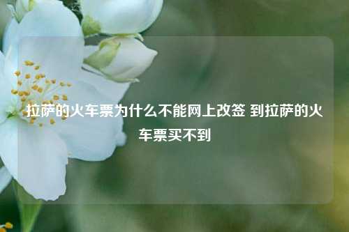 拉萨的火车票为什么不能网上改签 到拉萨的火车票买不到