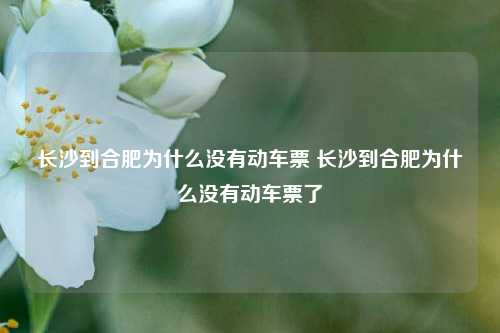 长沙到合肥为什么没有动车票 长沙到合肥为什么没有动车票了