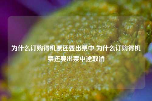 为什么订购得机票还要出票中 为什么订购得机票还要出票中途取消