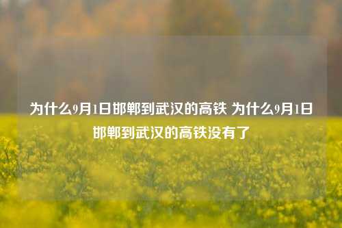 为什么9月1日邯郸到武汉的高铁 为什么9月1日邯郸到武汉的高铁没有了