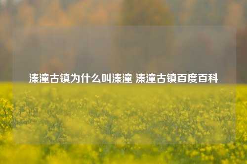 溱潼古镇为什么叫溱潼 溱潼古镇百度百科