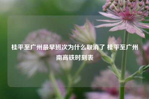 桂平至广州最早班次为什么取消了 桂平至广州南高铁时刻表