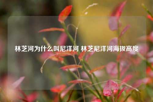 林芝河为什么叫尼洋河 林芝尼洋河海拔高度