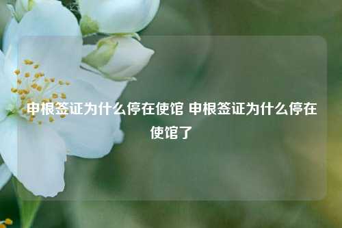 申根签证为什么停在使馆 申根签证为什么停在使馆了