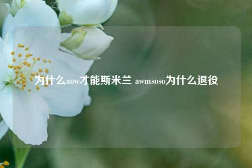 为什么aow才能斯米兰 awmsoso为什么退役