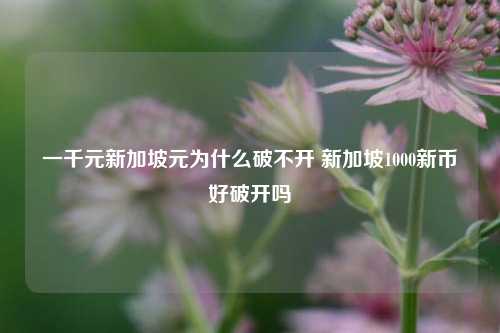 一千元新加坡元为什么破不开 新加坡1000新币好破开吗