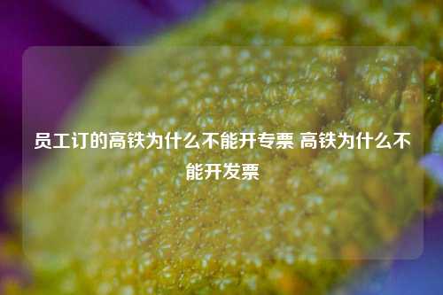 员工订的高铁为什么不能开专票 高铁为什么不能开发票