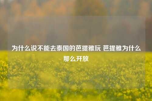 为什么说不能去泰国的芭提雅玩 芭提雅为什么那么开放