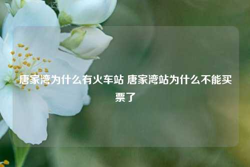 唐家湾为什么有火车站 唐家湾站为什么不能买票了