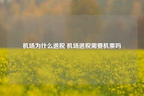 机场为什么退税 机场退税需要机票吗