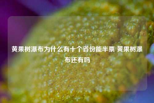 黄果树瀑布为什么有十个省份能半票 黄果树瀑布还有吗