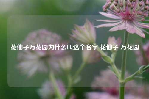 花仙子万花园为什么叫这个名字 花仙子 万花园