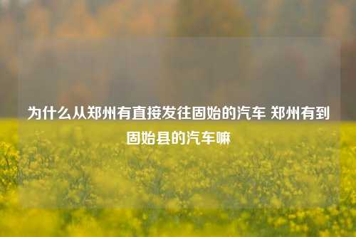 为什么从郑州有直接发往固始的汽车 郑州有到固始县的汽车嘛