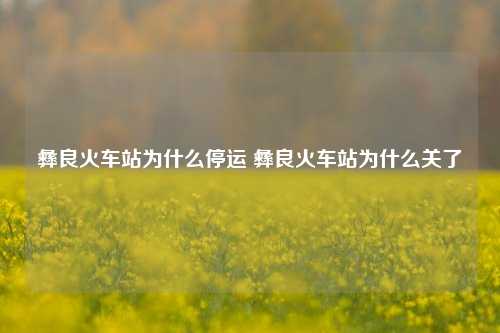 彝良火车站为什么停运 彝良火车站为什么关了