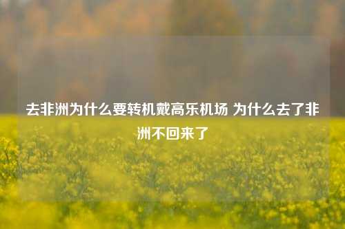 去非洲为什么要转机戴高乐机场 为什么去了非洲不回来了