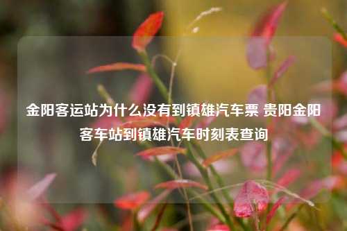 金阳客运站为什么没有到镇雄汽车票 贵阳金阳客车站到镇雄汽车时刻表查询