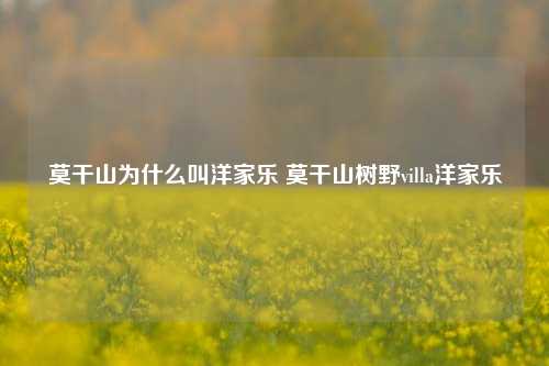 莫干山为什么叫洋家乐 莫干山树野villa洋家乐