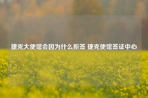 捷克大使馆会因为什么拒签 捷克使馆签证中心