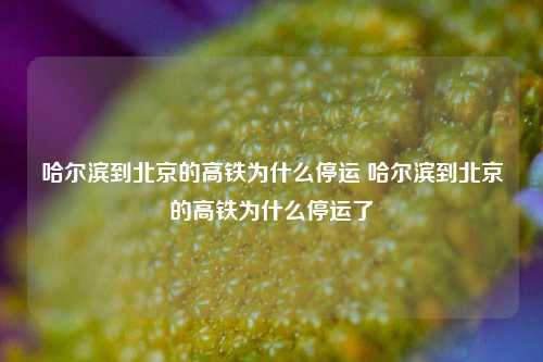 哈尔滨到北京的高铁为什么停运 哈尔滨到北京的高铁为什么停运了