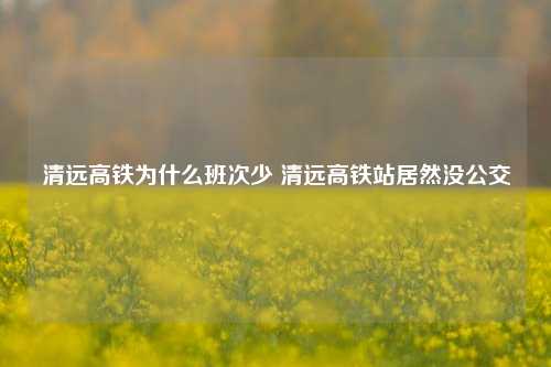 清远高铁为什么班次少 清远高铁站居然没公交