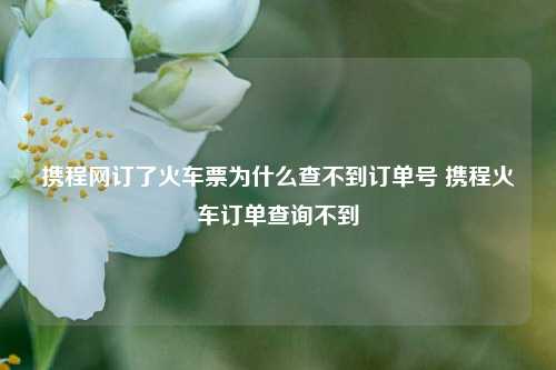 携程网订了火车票为什么查不到订单号 携程火车订单查询不到