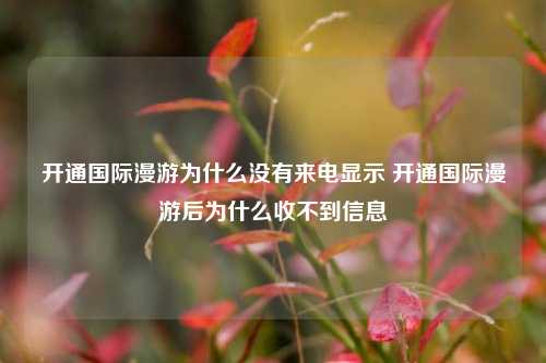 开通国际漫游为什么没有来电显示 开通国际漫游后为什么收不到信息