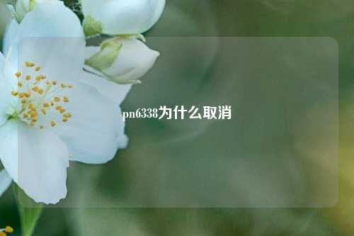 pn6338为什么取消