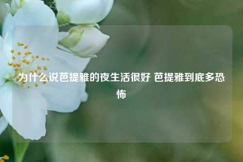 为什么说芭提雅的夜生活很好 芭提雅到底多恐怖