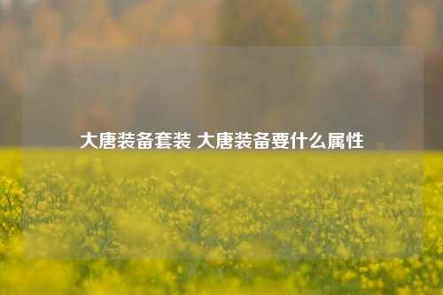 大唐装备套装 大唐装备要什么属性