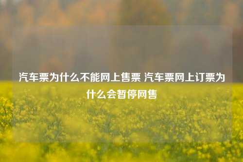 汽车票为什么不能网上售票 汽车票网上订票为什么会暂停网售