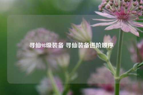 寻仙98级装备 寻仙装备进阶顺序