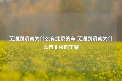 芜湖到济南为什么有北京的车 芜湖到济南为什么有北京的车票