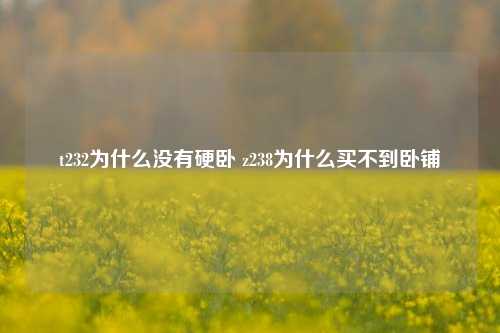 t232为什么没有硬卧 z238为什么买不到卧铺