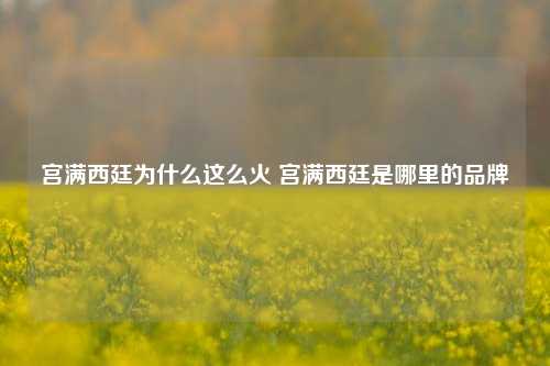 宫满西廷为什么这么火 宫满西廷是哪里的品牌