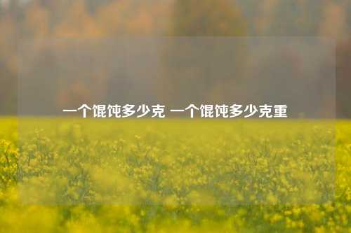 一个馄饨多少克 一个馄饨多少克重
